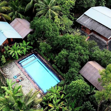 Sun And Green Eco Lodge - Dambulla Exteriér fotografie