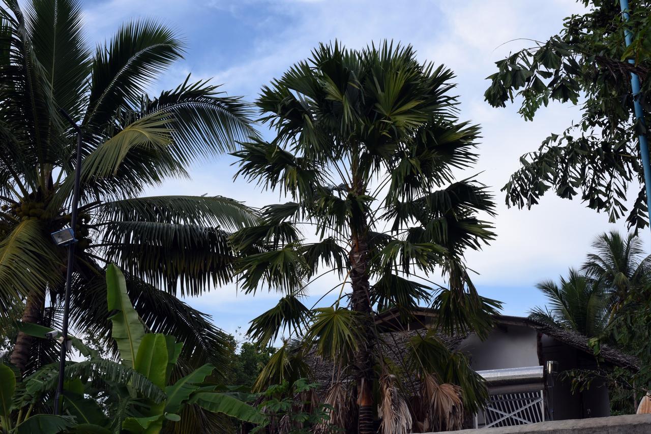 Sun And Green Eco Lodge - Dambulla Exteriér fotografie