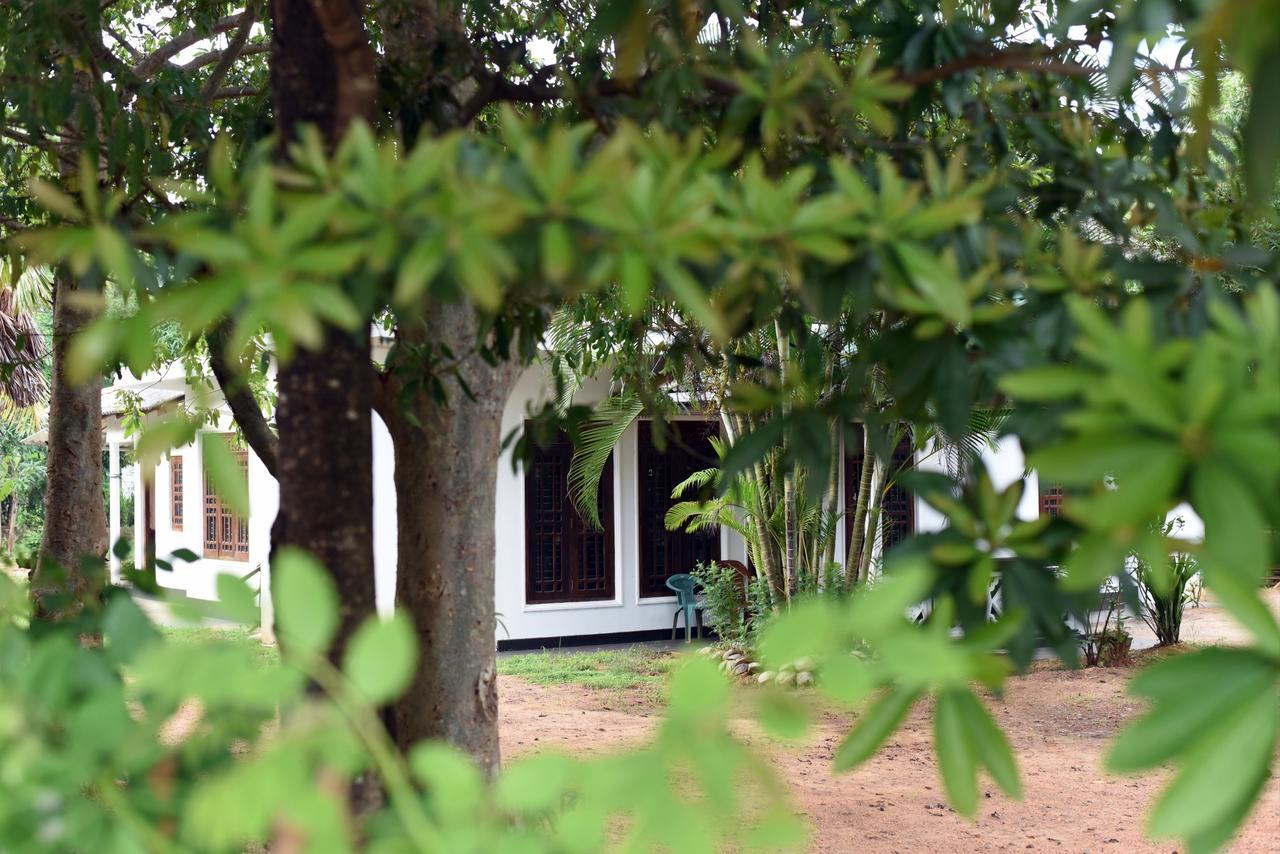 Sun And Green Eco Lodge - Dambulla Exteriér fotografie