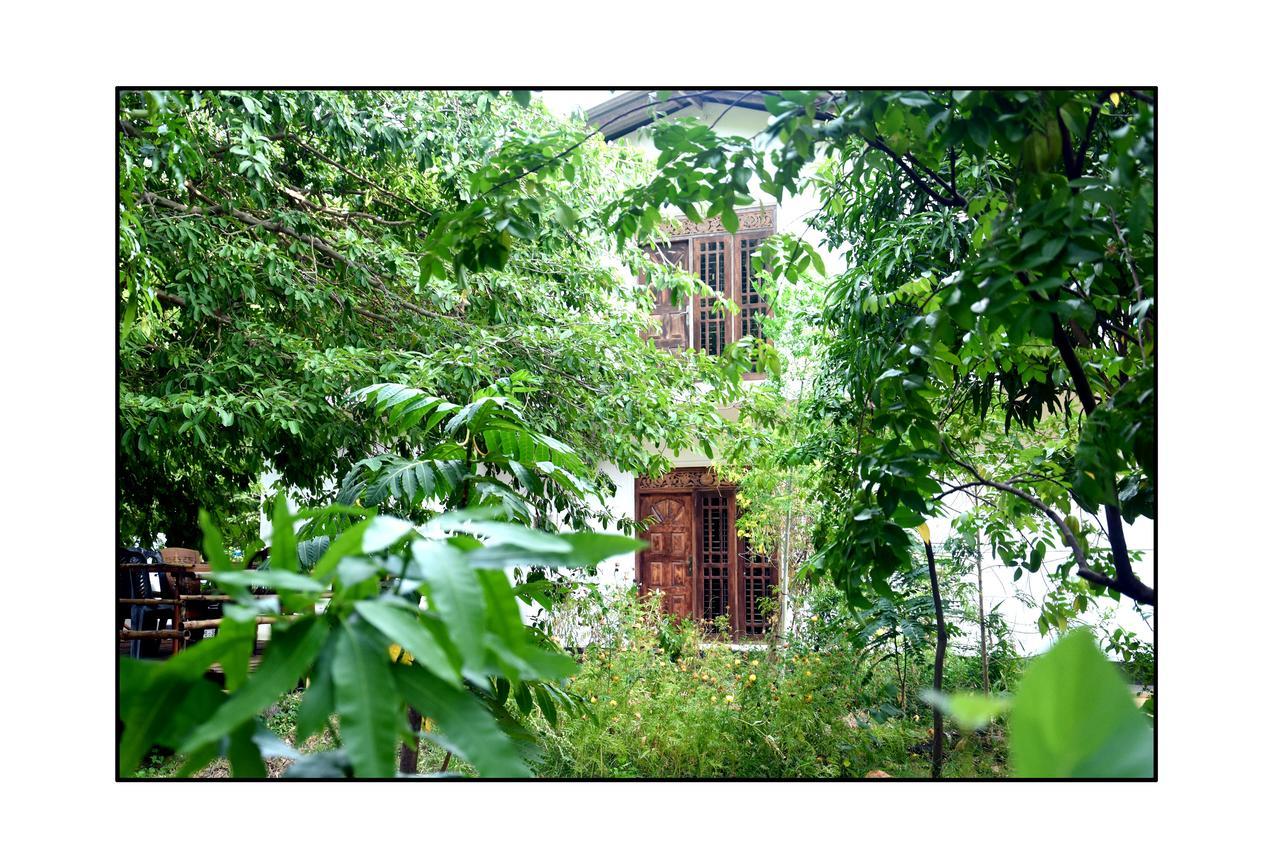 Sun And Green Eco Lodge - Dambulla Exteriér fotografie