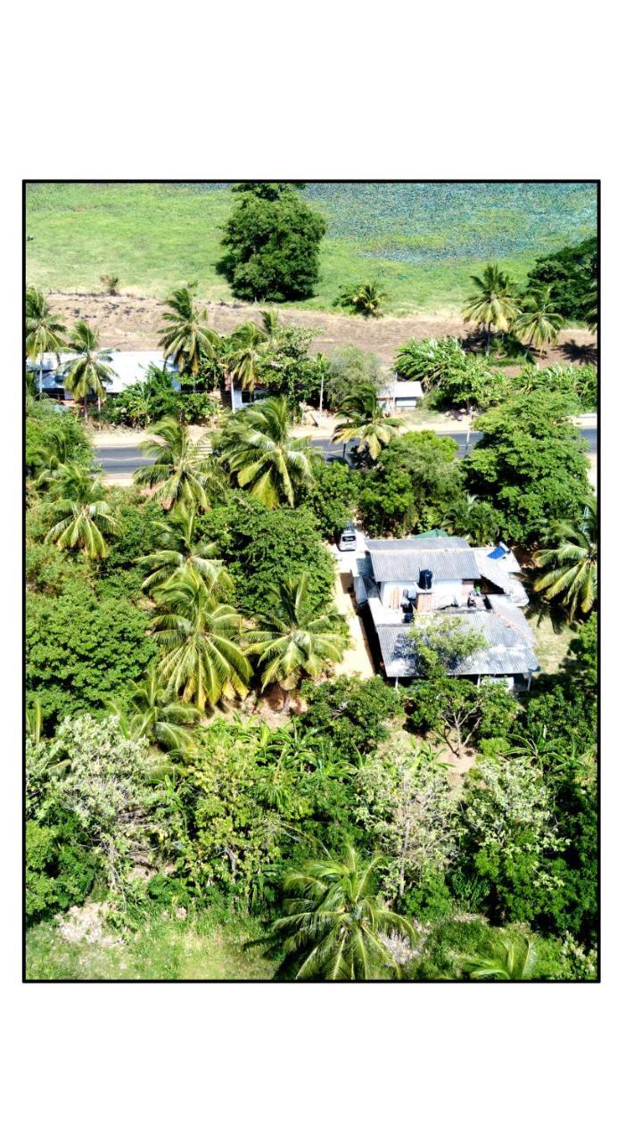 Sun And Green Eco Lodge - Dambulla Exteriér fotografie